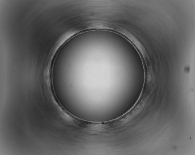 X0000103331293200809051201