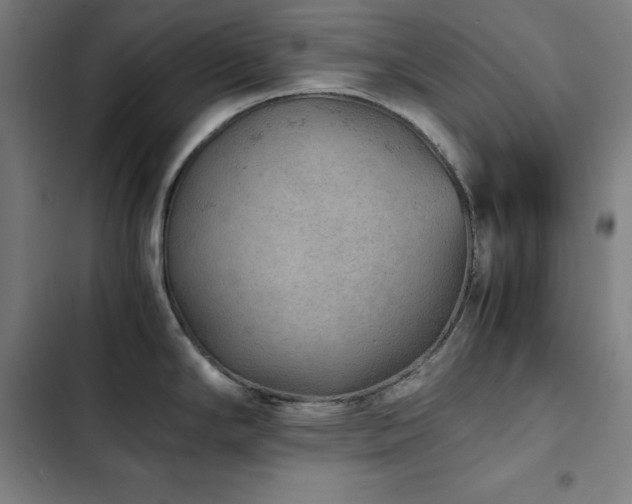 X0000103331294200809051201