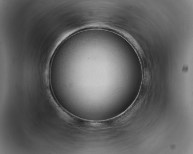 X0000103331295200809051201