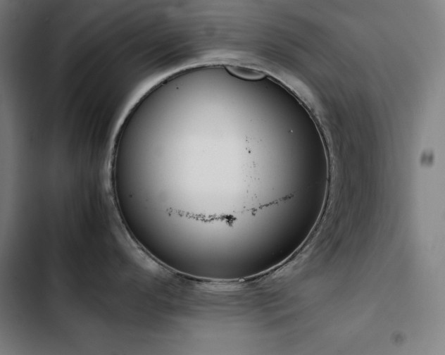 X0000103331296200809051201
