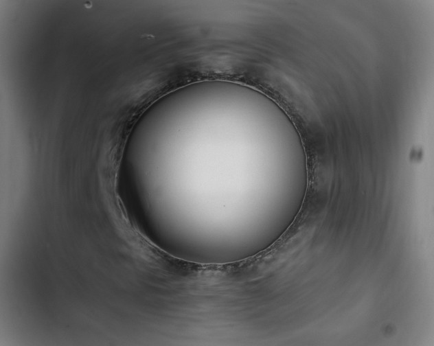 X0000103331297200809051200
