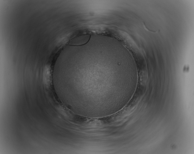 X0000103331298200809051200