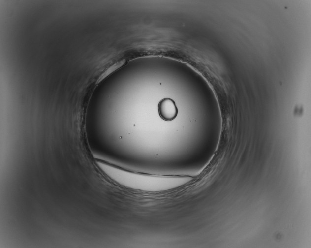X0000103331300200809051200