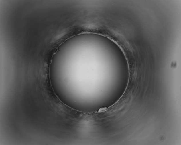 X0000103331301200809051200