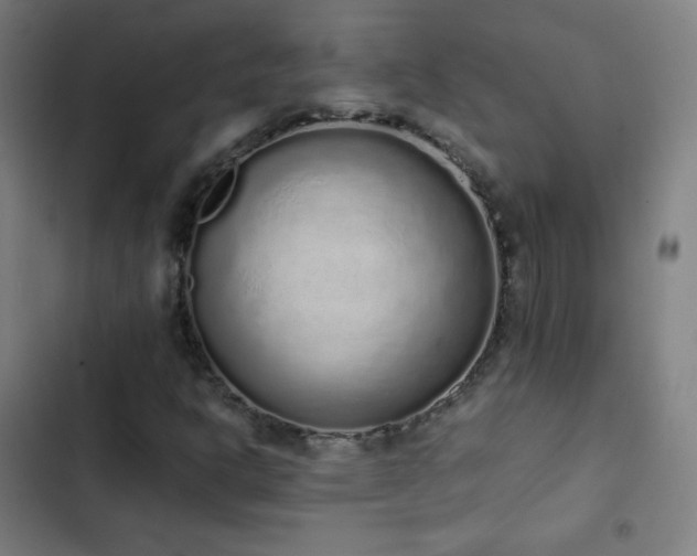 X0000103331302200809051200