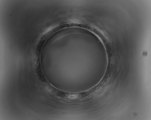 X0000103331303200809051200
