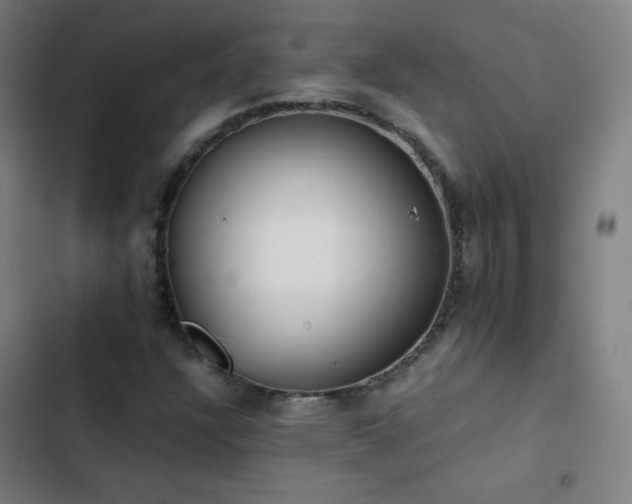 X0000103331304200809051200