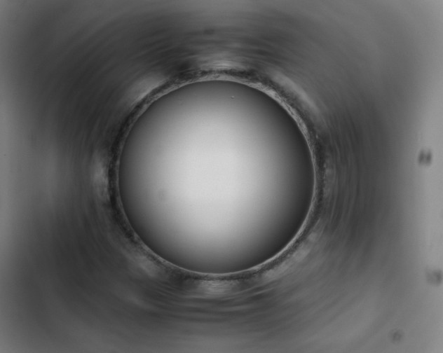 X0000103331305200809051200
