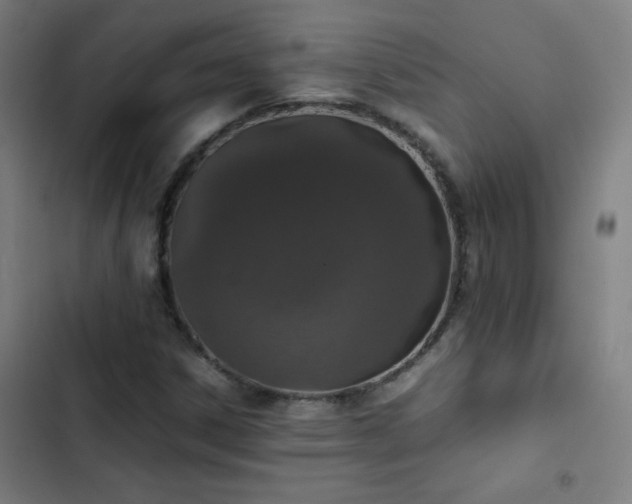 X0000103331306200809051200