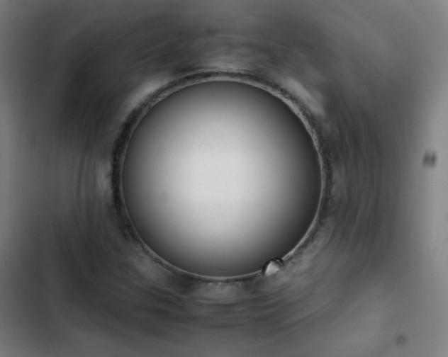 X0000103331307200809051200