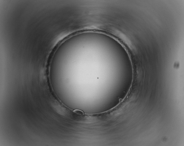 X0000103331308200809051200