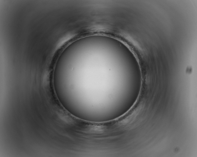 X0000103331309200809051200