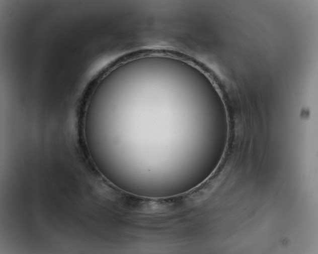 X0000103331311200809051200