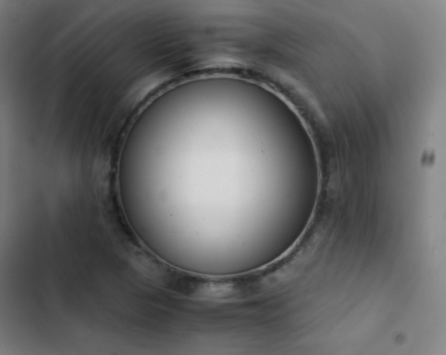 X0000103331313200809051200
