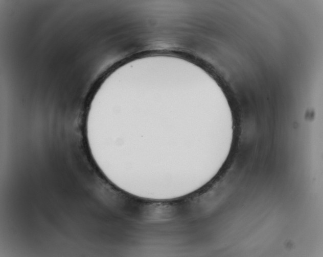 X0000103331314200809051200
