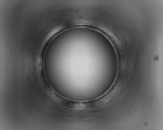 X0000103331317200809051200