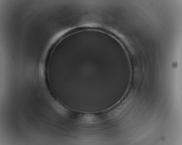X0000103331319200809051200