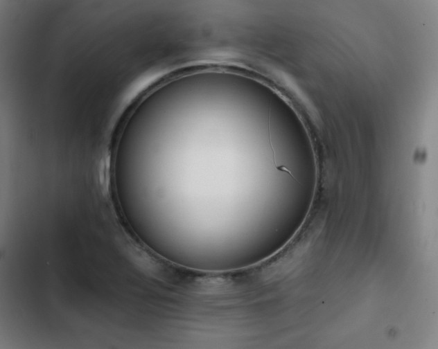 X0000103331320200809051200