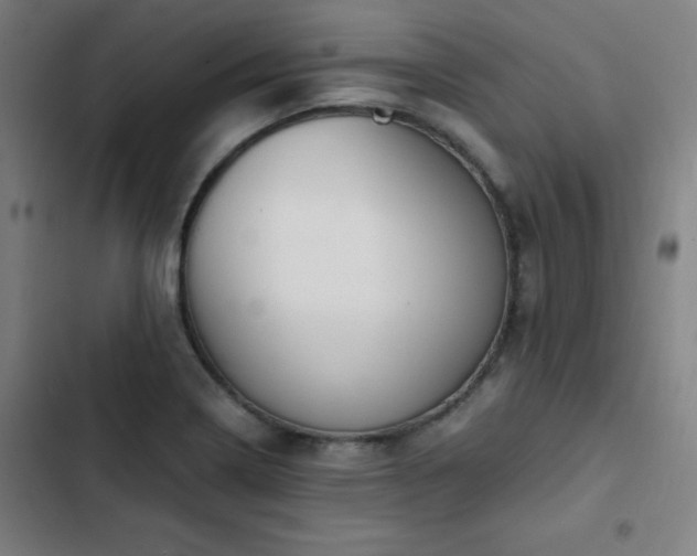 X0000103331322200809051200