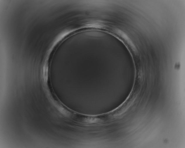 X0000103331323200809051200