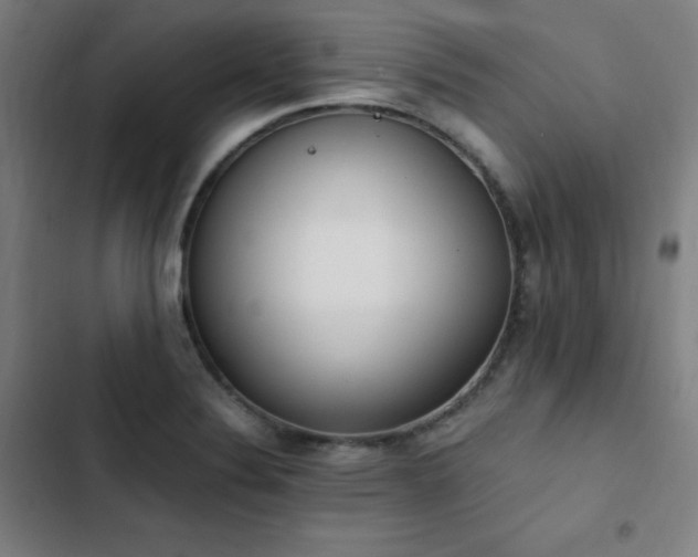 X0000103331324200809051200
