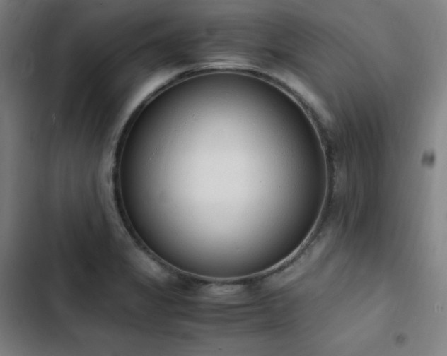 X0000103331325200809051200