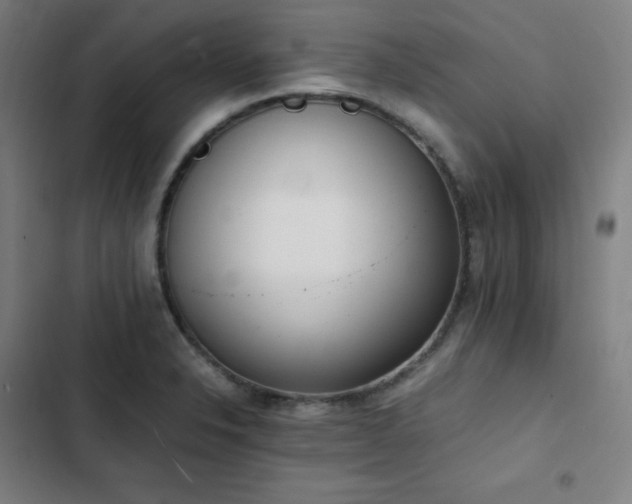 X0000103331326200809051200