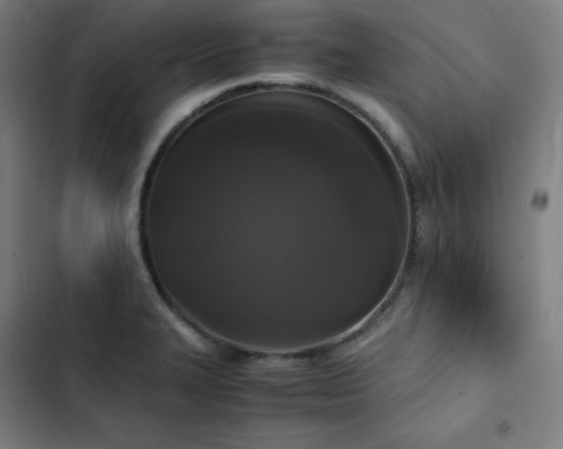 X0000103331327200809051200