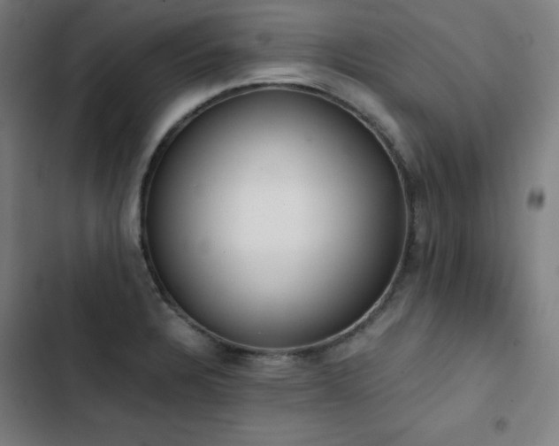 X0000103331328200809051200