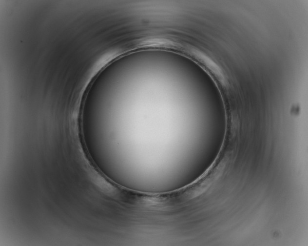 X0000103331330200809051201