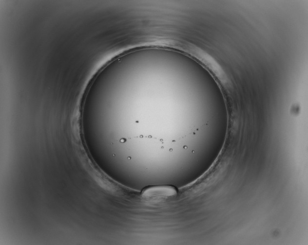 X0000103331332200809051201