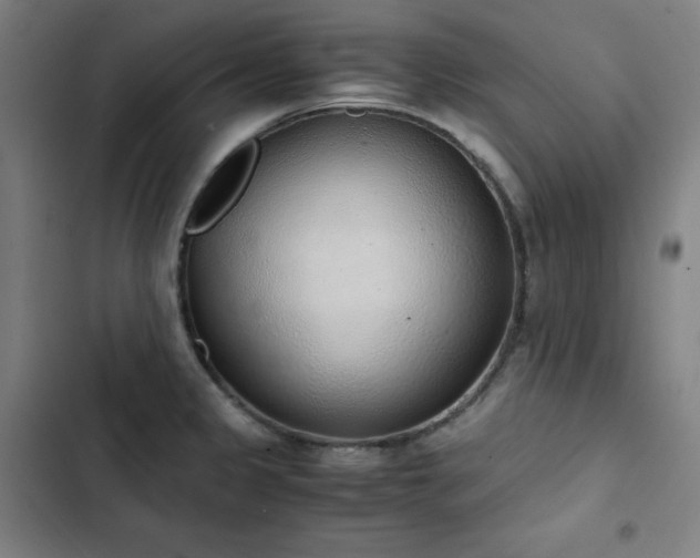 X0000103331333200809051201