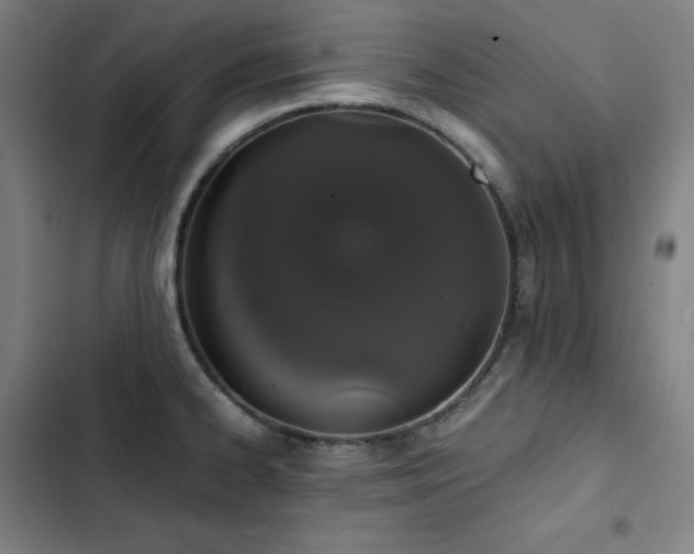 X0000103331334200809051201