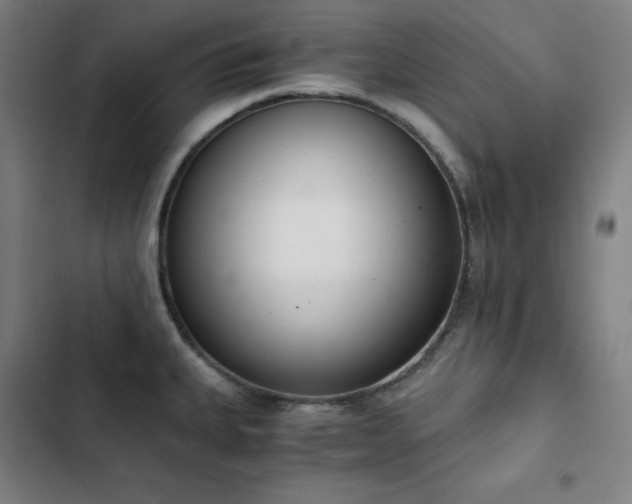 X0000103331335200809051201
