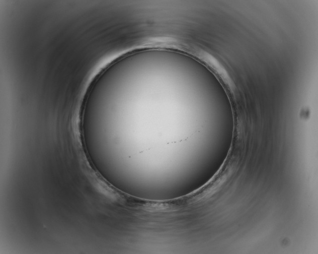 X0000103331336200809051201