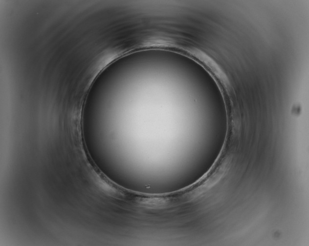 X0000103331337200809051201