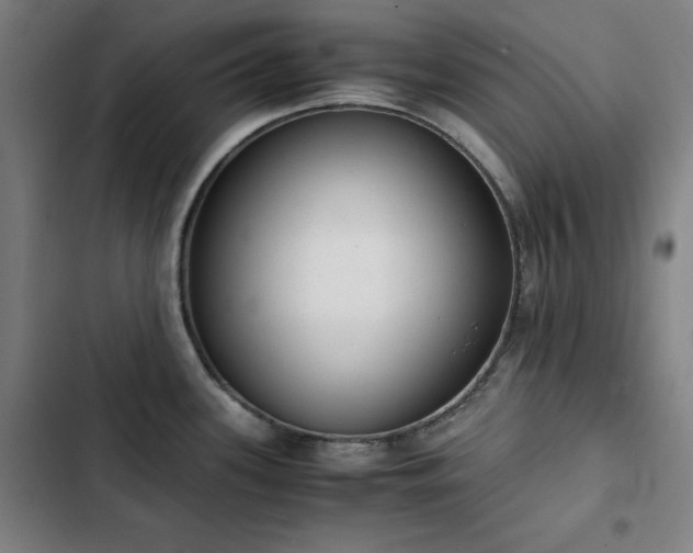 X0000103331339200809051201