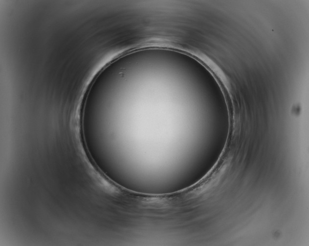 X0000103331341200809051201