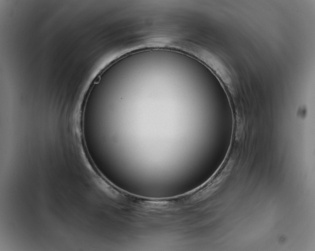 X0000103331342200809051201