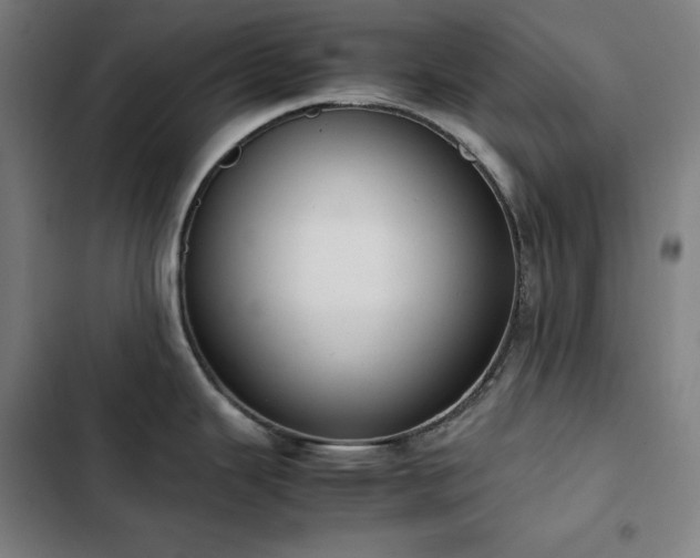 X0000103331343200809051201