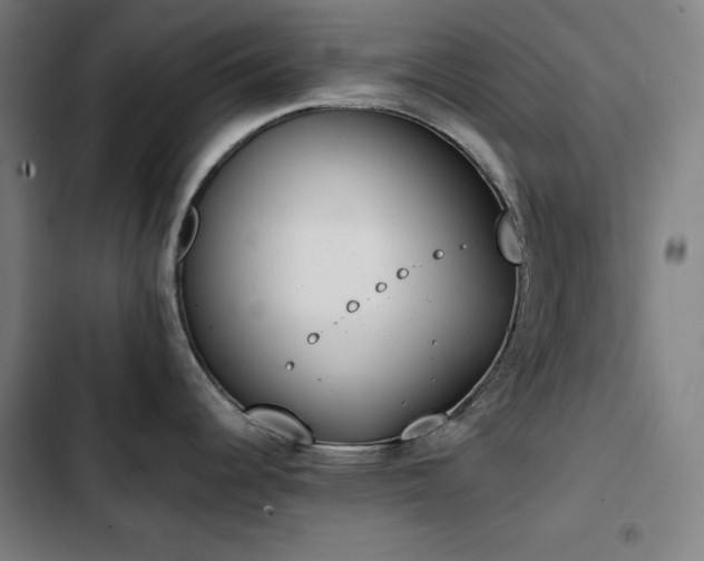 X0000103331344200809051201
