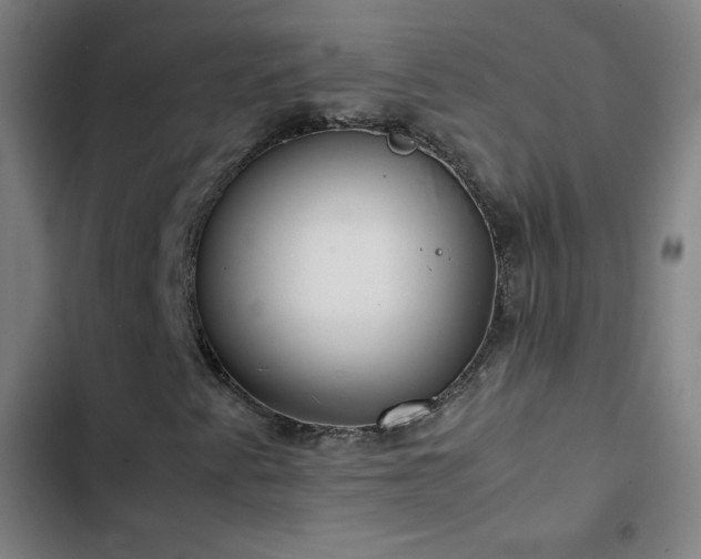 X0000103331345200809051200