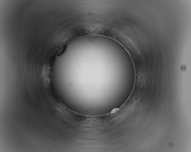 X0000103331346200809051200