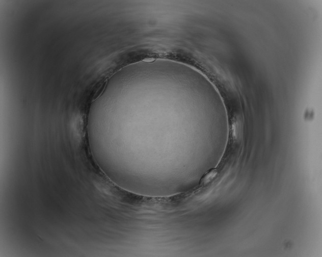 X0000103331347200809051200