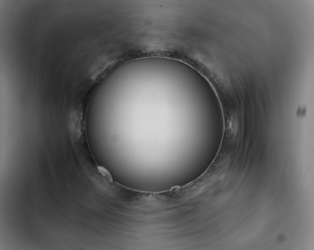 X0000103331348200809051200
