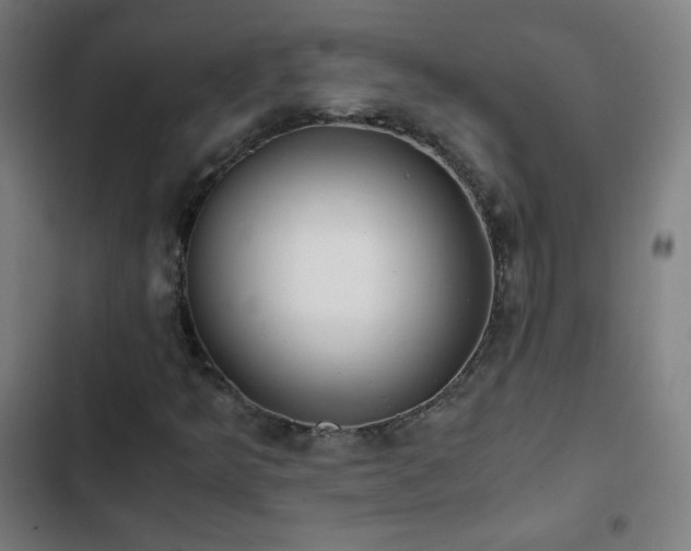 X0000103331349200809051200