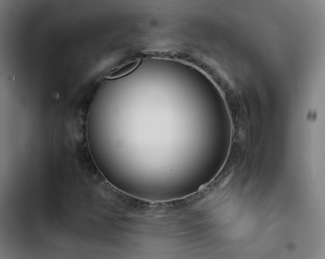 X0000103331350200809051200