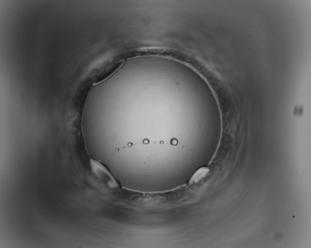 X0000103331351200809051200