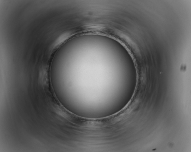 X0000103331354200809051200