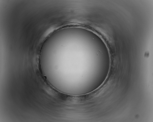 X0000103331355200809051200